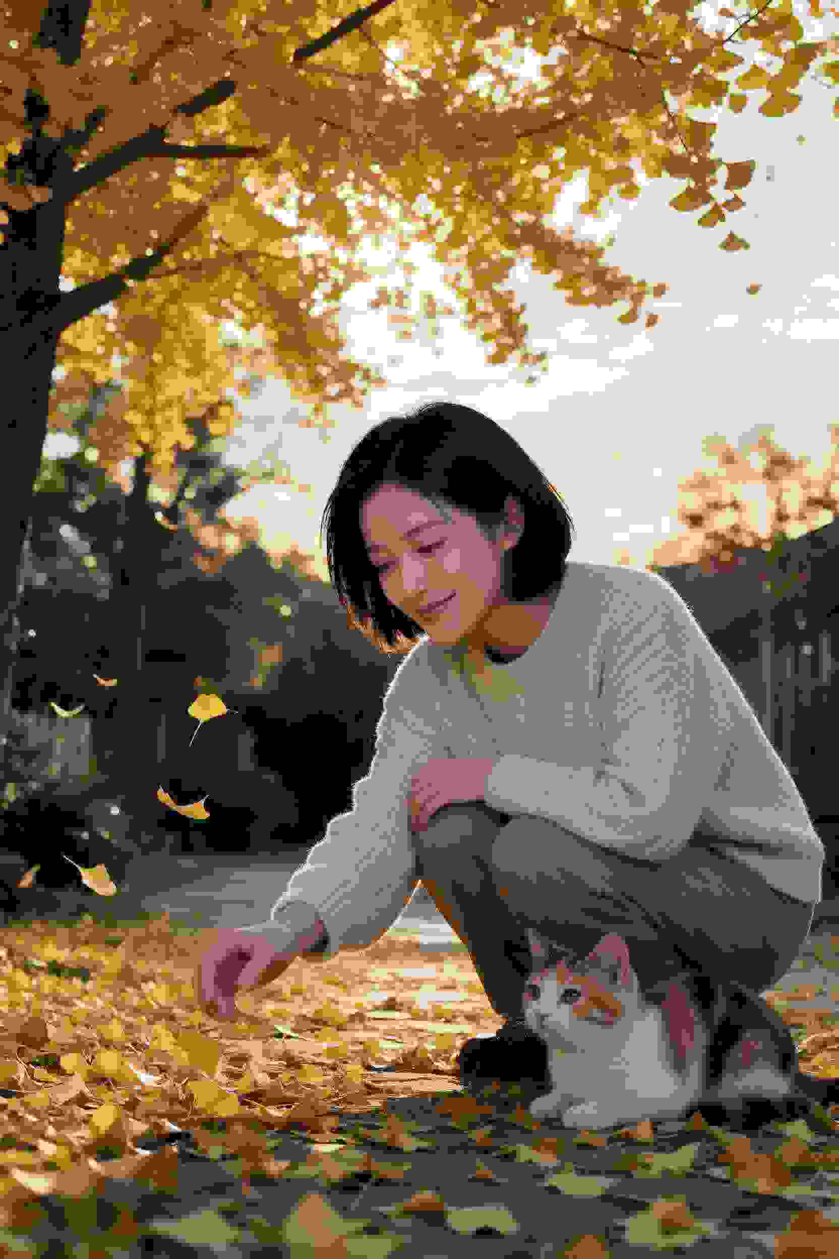 秘境寻宝